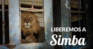 El Pacma exige al Gobierno el fin definitivo de los circos con animales en España