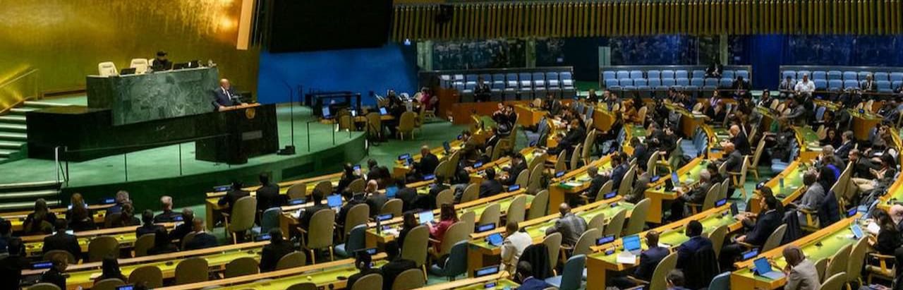 Asamblea General de la ONU