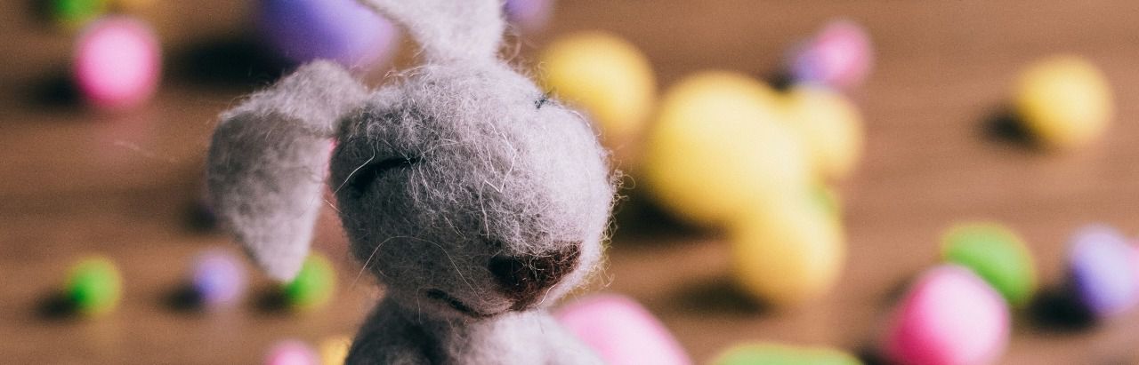 Conejo de pascua