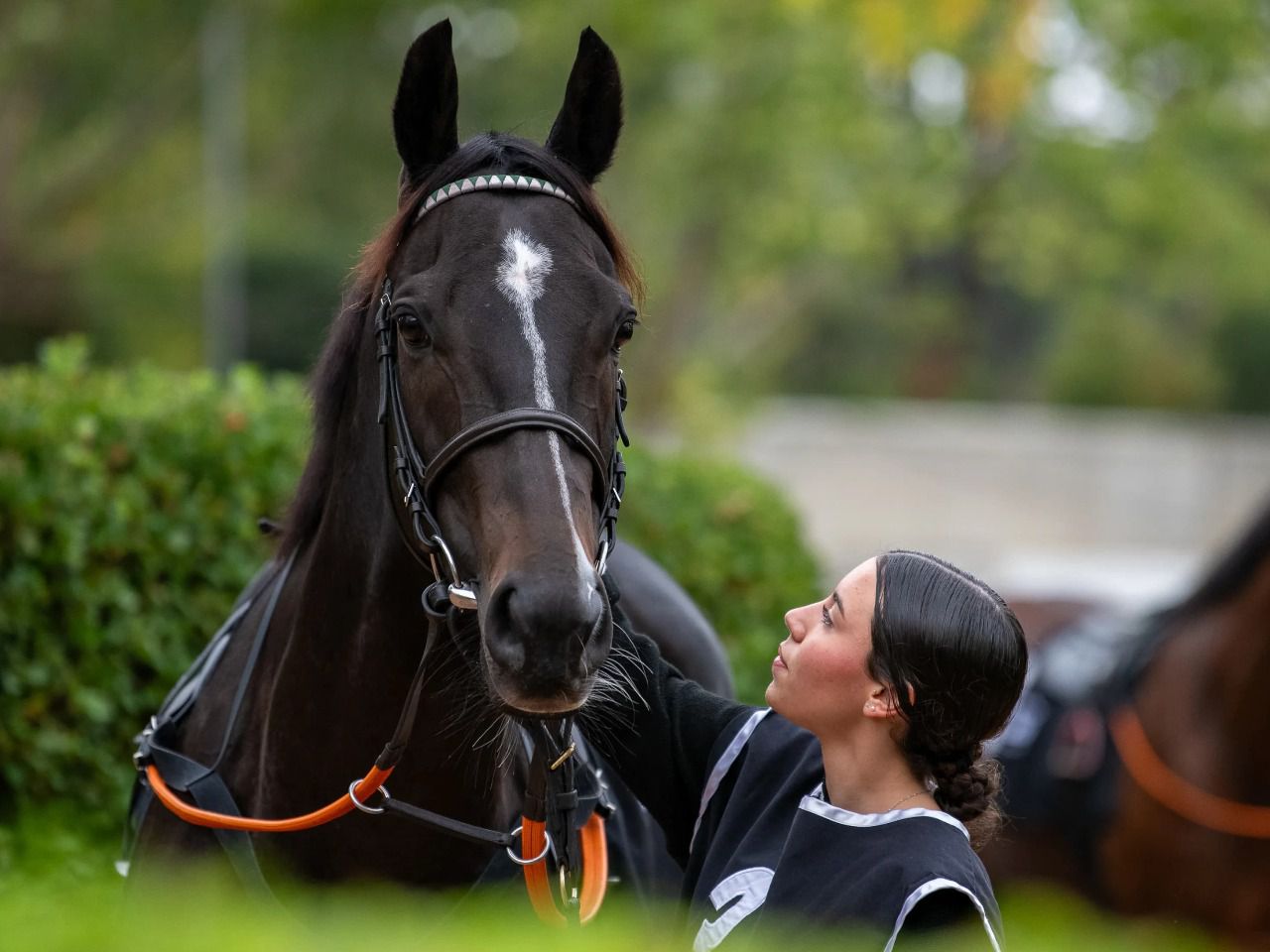 Caballo y jockey en el Hipódromo de la Zarzuela