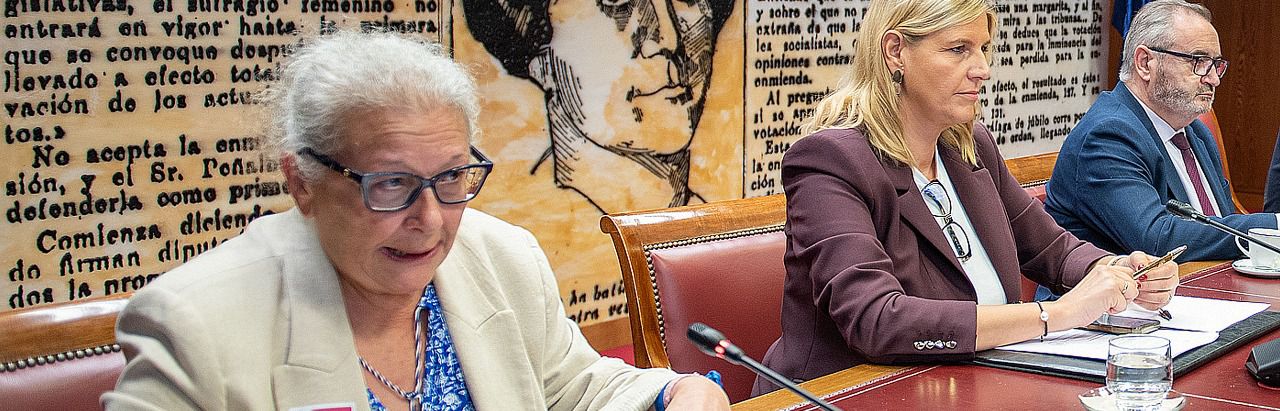 Carmen Pano, compareciendo en el Senado