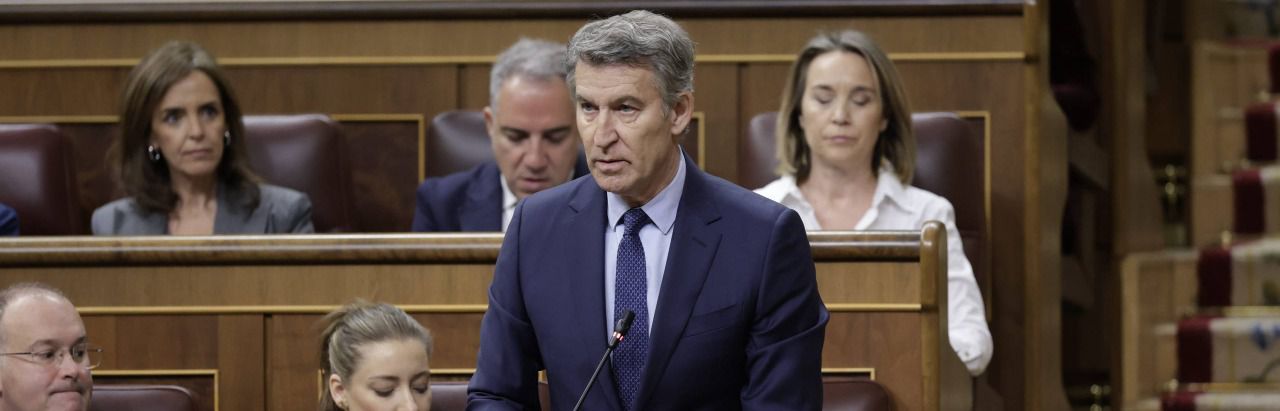 Feijoó, en el Congreso