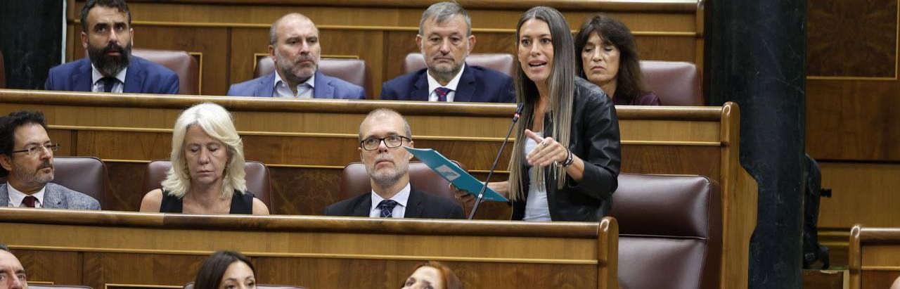 El grupo de Junts en el Congreso