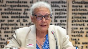 La empresaria Carmen Pano no declara en el Senado pero ratifica que entregó dinero en Ferraz